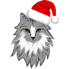 Graue Katze Weihnachten