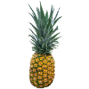 Pineapple Fruit