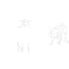 BORDER COLLIE herding dog sheep
