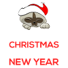 Meowy Christmas Shirt