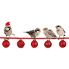 Christmas bird