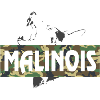 Malinois Camouflage Print