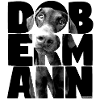 NASSU Dobermann Black