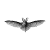 Bat