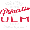 Princesse et ULM