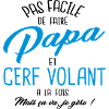 Papa et cerf volant