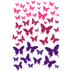 LOTS OF BUTTERFLIES