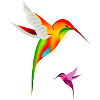 Hummingbirds