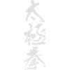 Taijichuan 太極拳