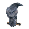 Crow