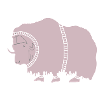 SPACE BULL