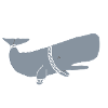 SPACE WHALE