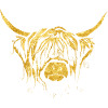 Golden Highland Cow