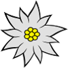 Edelweiss