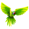 Macaw flying green - green macaw flying