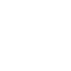 FMA Fighter