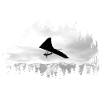 Deltaplane