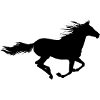 Running horse