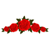 roses