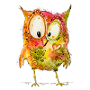 Lotti the owl