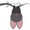 bat
