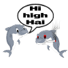 Hi high Hai