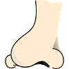 nose