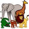 Africa animals