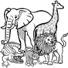 Africa animals