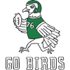 Sporty Pigeon Holding Football