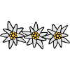 Edelweiss Trio
