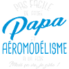 Papa et aéromodélisme