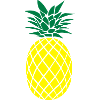 ANANAS STYLIZED