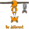 Fuchs Fledermäuse Be Different Tierliebhaber