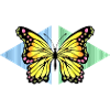 butterfly