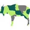 BHUTAN TAKIN འབྲུག་ ཡུལ - CAMO / CAMOUFLAGE