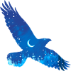 Sternenhimmel Vogel