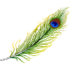 Jodha Akbar feather