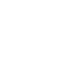 DJ - disc jockey