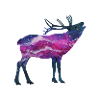 Space deer