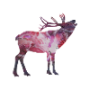 Space deer
