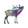Space deer