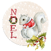 Merry christmas squirrel