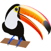 Eko le Toucan