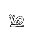 snail