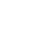 Steinbock Definition