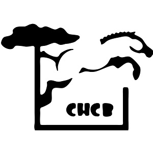 Club Hippique Côte Basque | RectoVerso