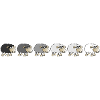 From black to white