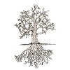 Gnarled tree