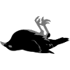 dead raven craven crow